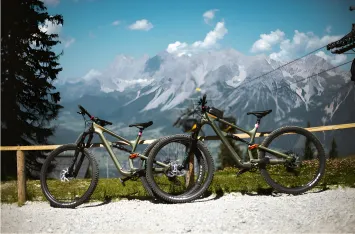 Professional Mountain Bike