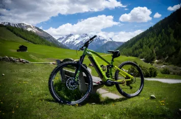 Professional Mountain Bike